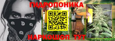 дмт Сланцы
