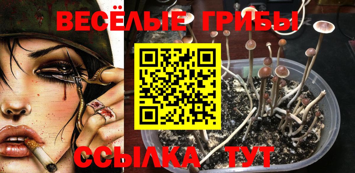 Новороссийск  Галлюциногенные грибы GOLDEN TEACHER  Вход с VPN 
