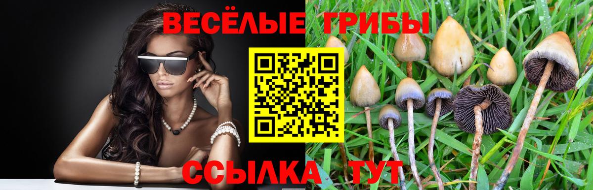 Галлюциногенные грибы прущие грибы Новороссийск